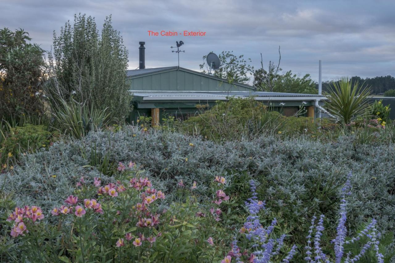 Tracy's Boutique B&B Farmstay Wellsford Extérieur photo